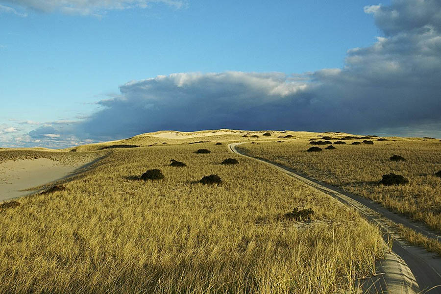 Dunes Long Road View