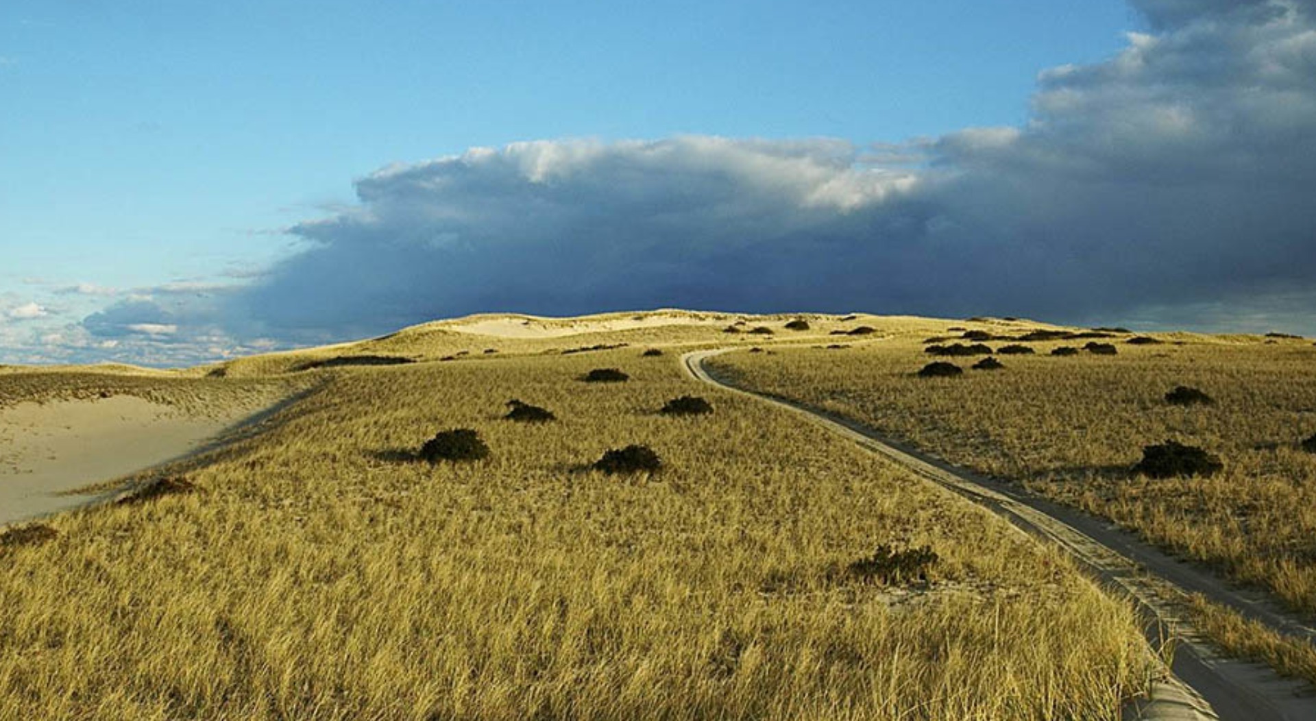 Dune Roads